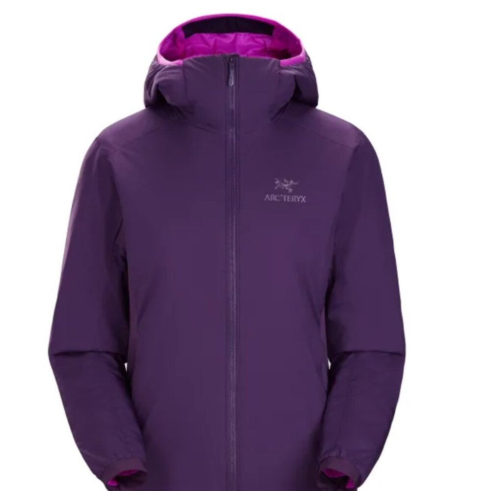 Arcteryx Atom Hoody in Expanse